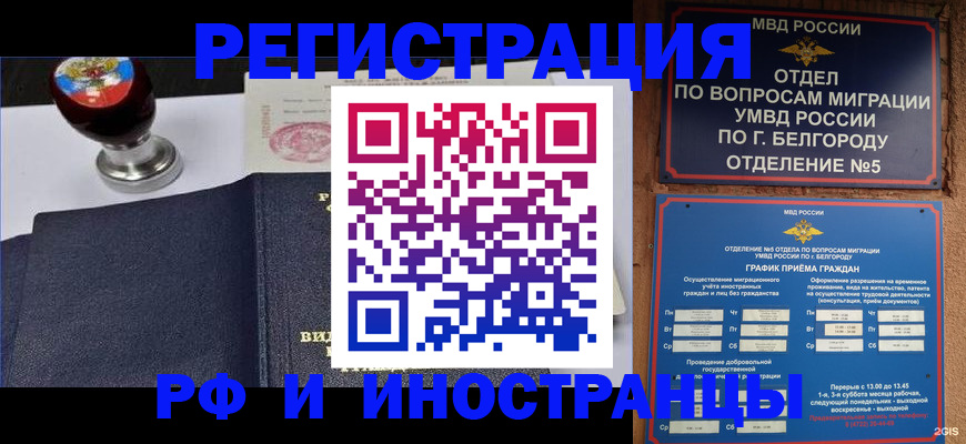 временная регистрация поиск в Болотном